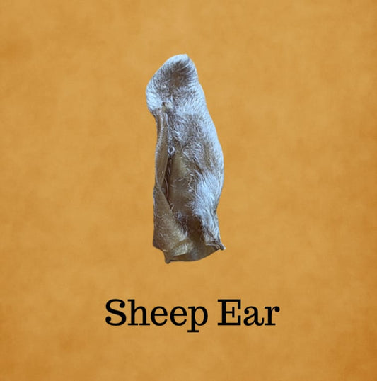 Sheep Ear
